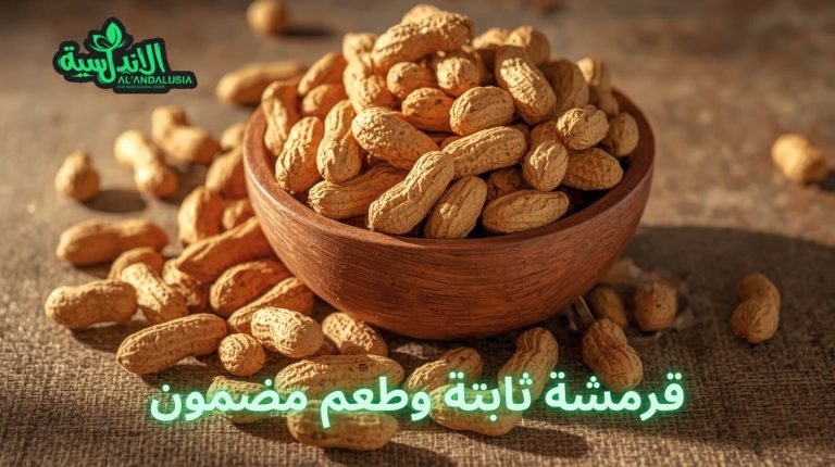 WhatsApp Image 2026-02-03 at 11.48.09 AM (2)