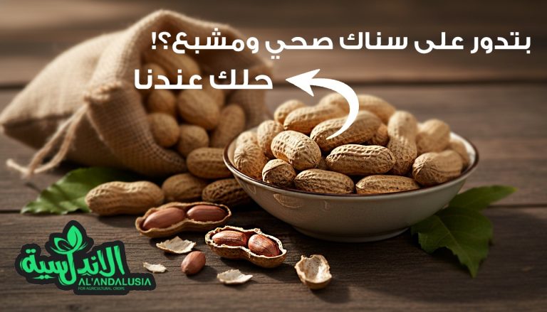 WhatsApp Image 2026-02-03 at 11.50.08 AM